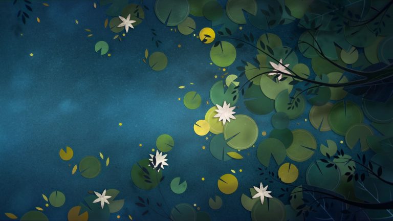 Video top 5: Beauty of nature